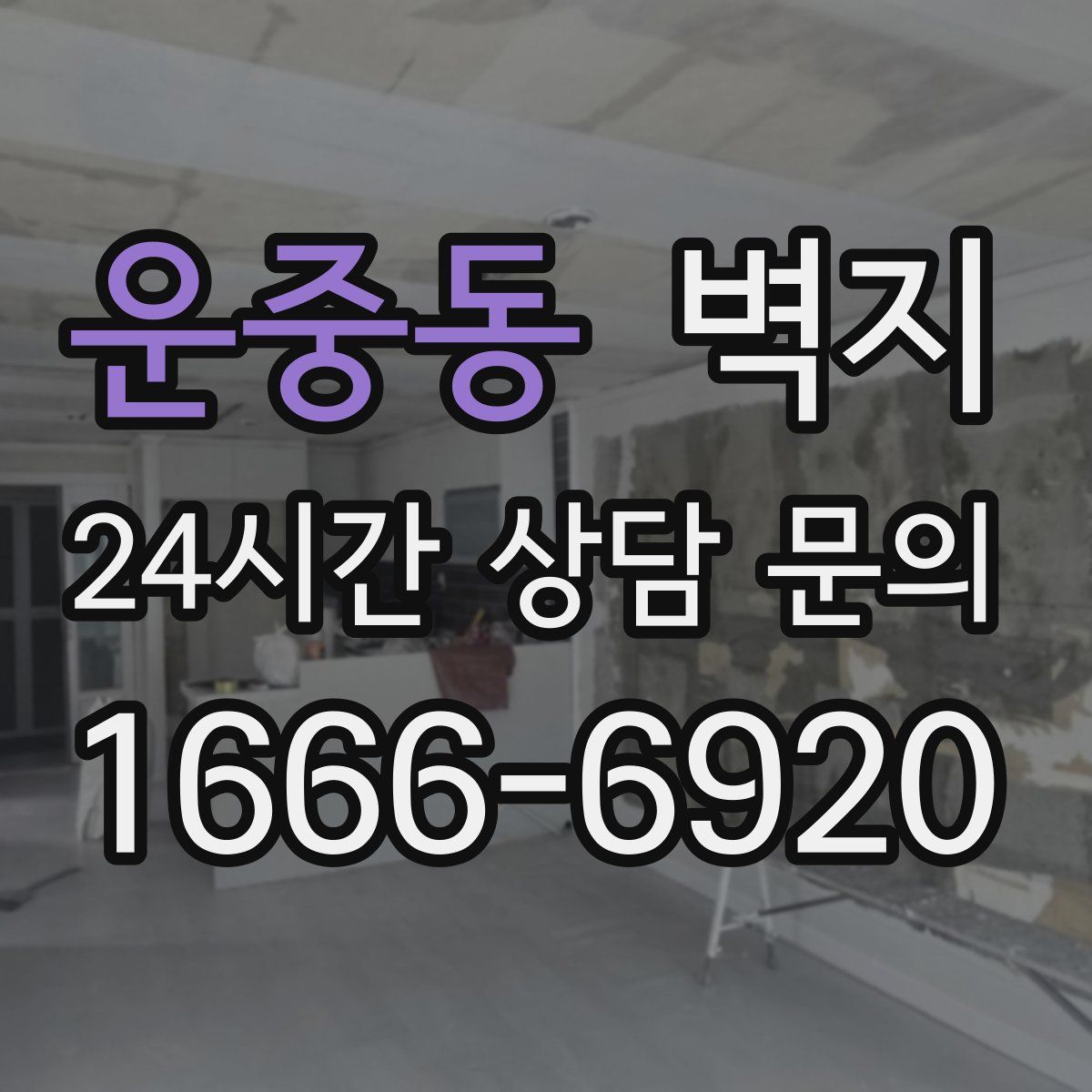 운중동 벽지
