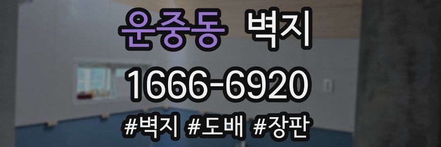 운중동 벽지