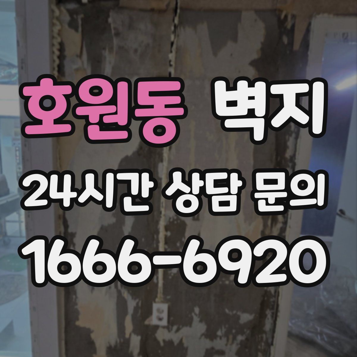 호원동 벽지