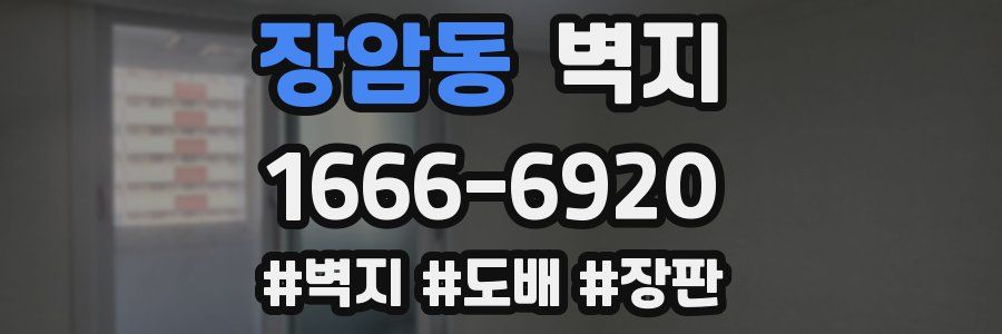 장암동 벽지