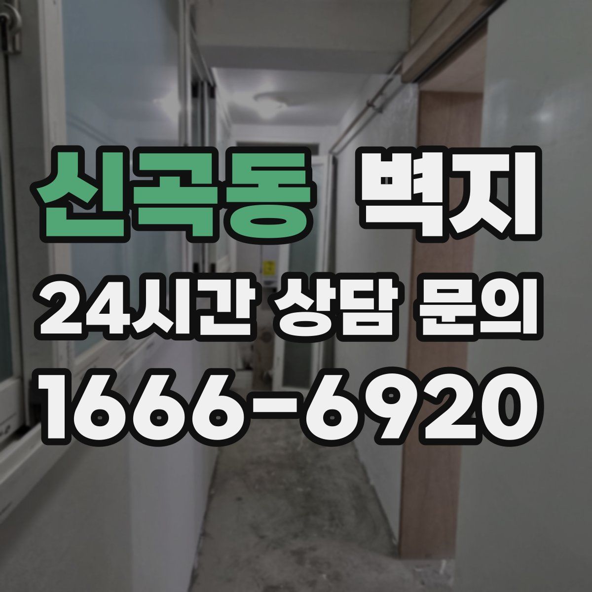 신곡동 벽지
