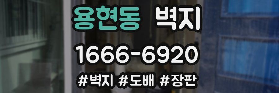 용현동 벽지