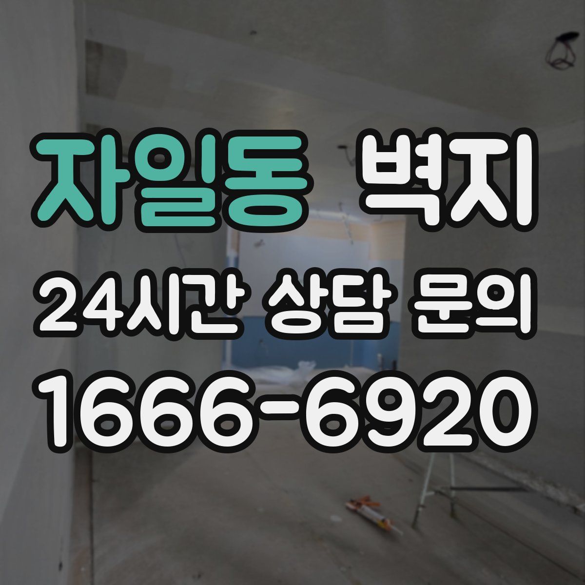 자일동 벽지