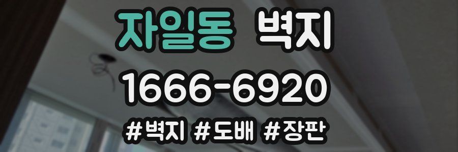 자일동 벽지