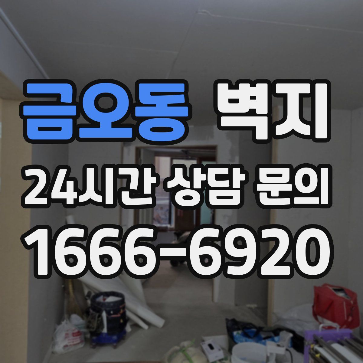 금오동 벽지