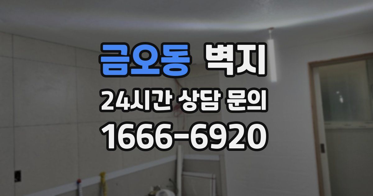 금오동 벽지