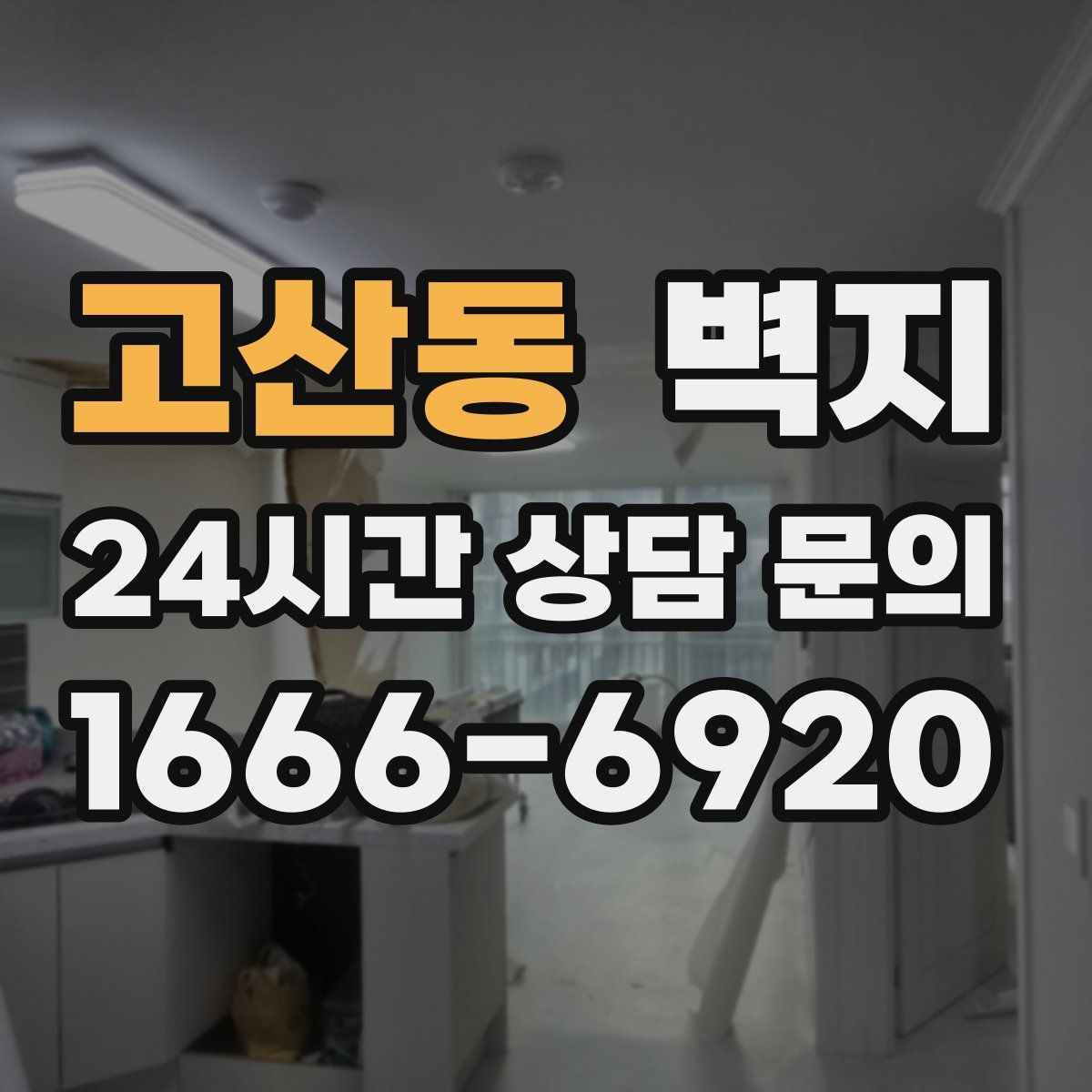 고산동 벽지