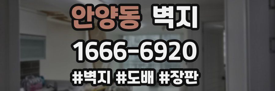 안양동 벽지