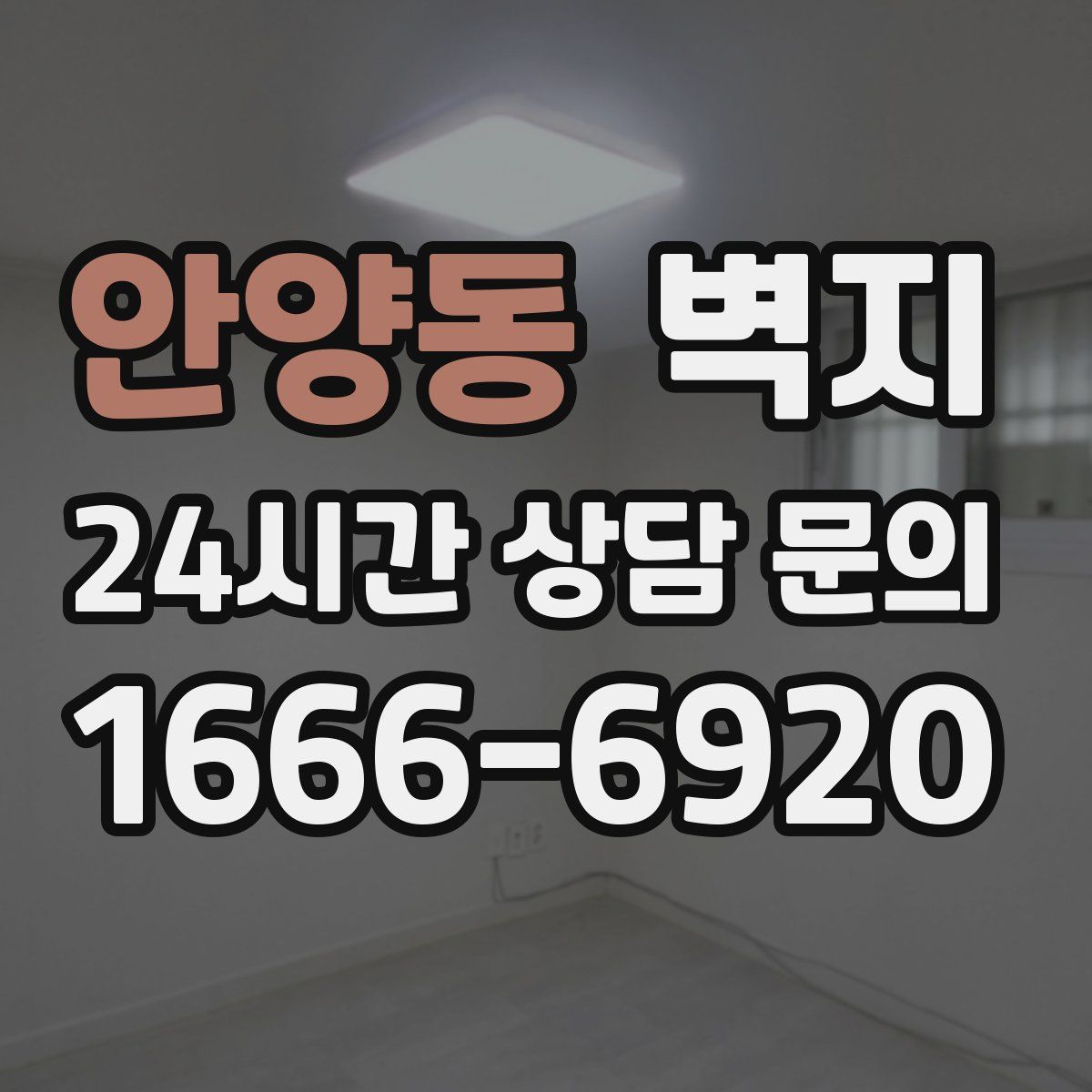 안양동 벽지