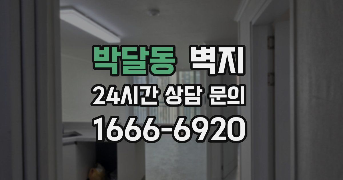 박달동 벽지