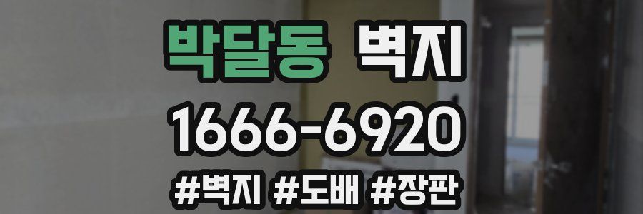 박달동 벽지