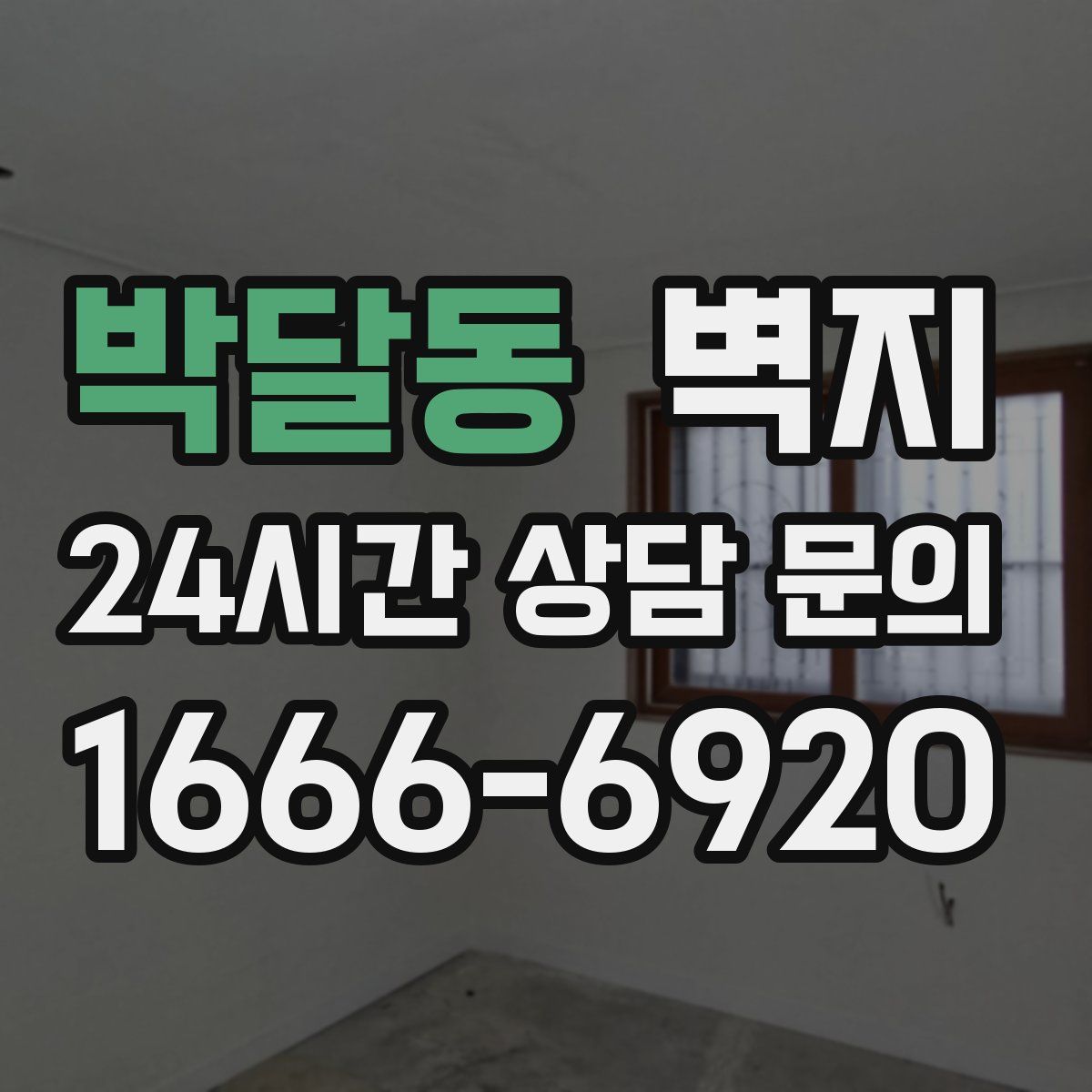 박달동 벽지