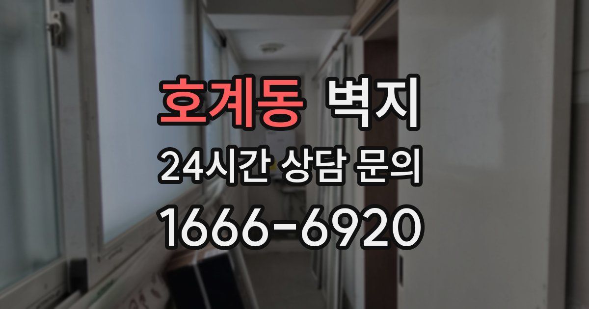 호계동 벽지