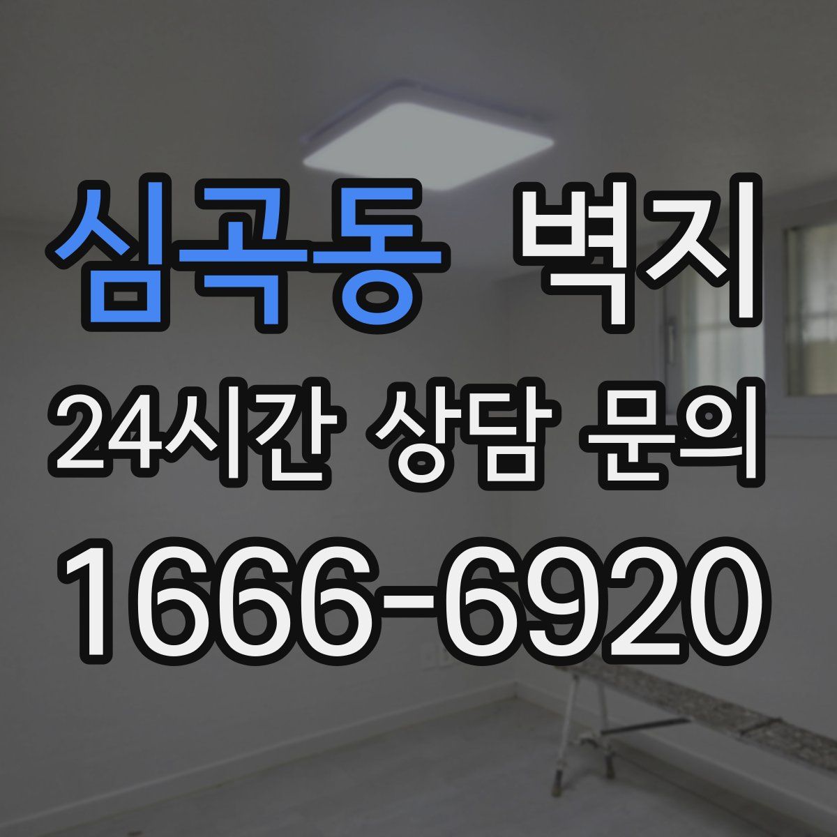 심곡동 벽지
