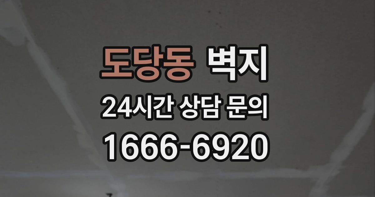도당동 벽지