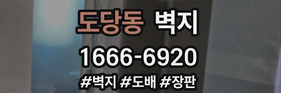 도당동 벽지