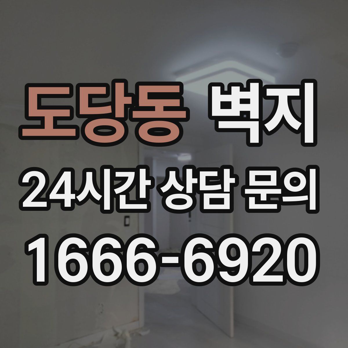 도당동 벽지
