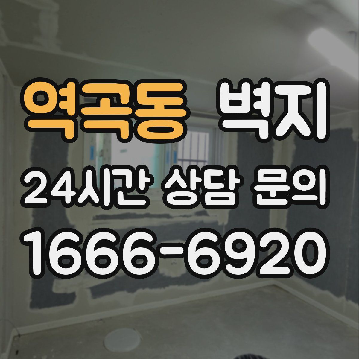 역곡동 벽지