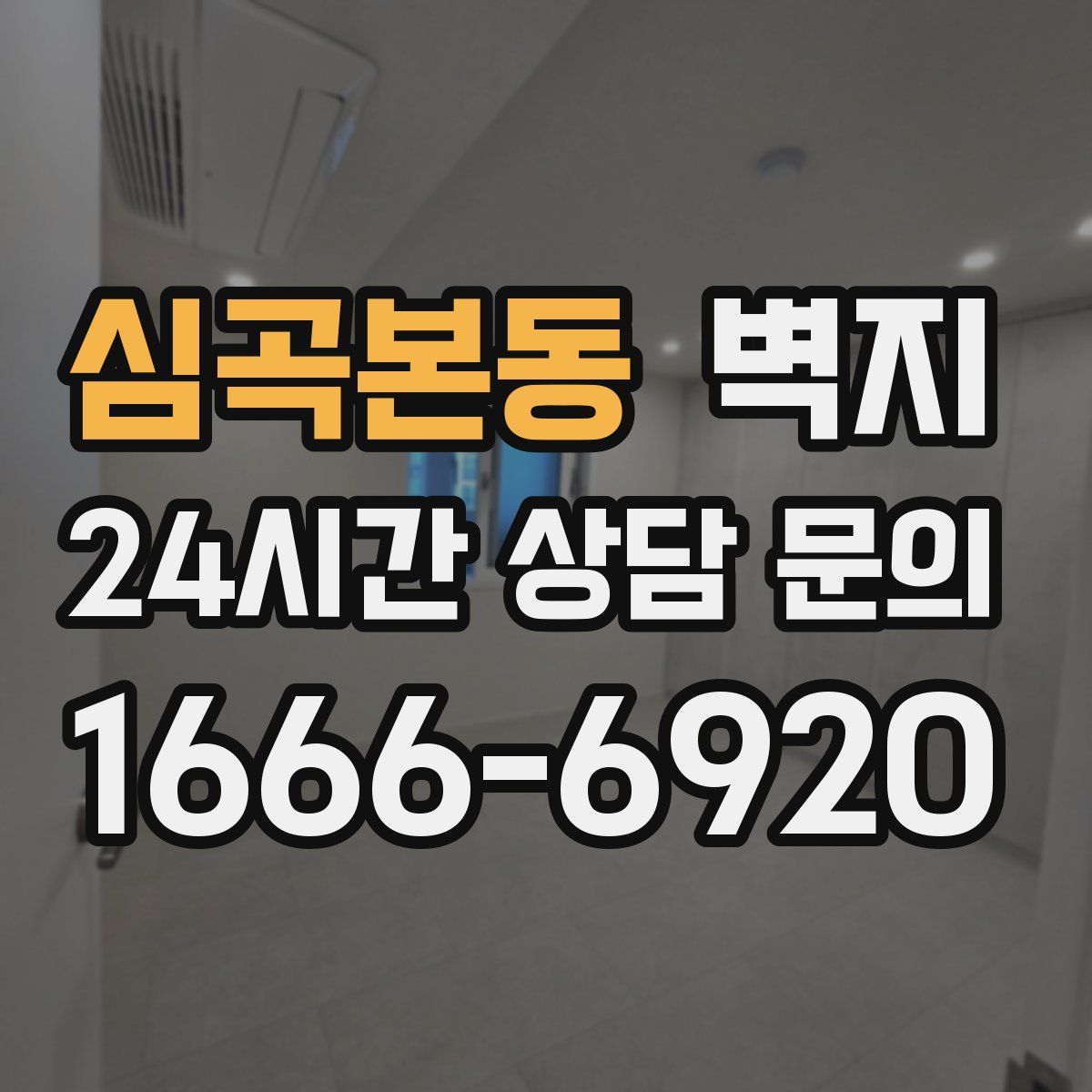 심곡본동 벽지