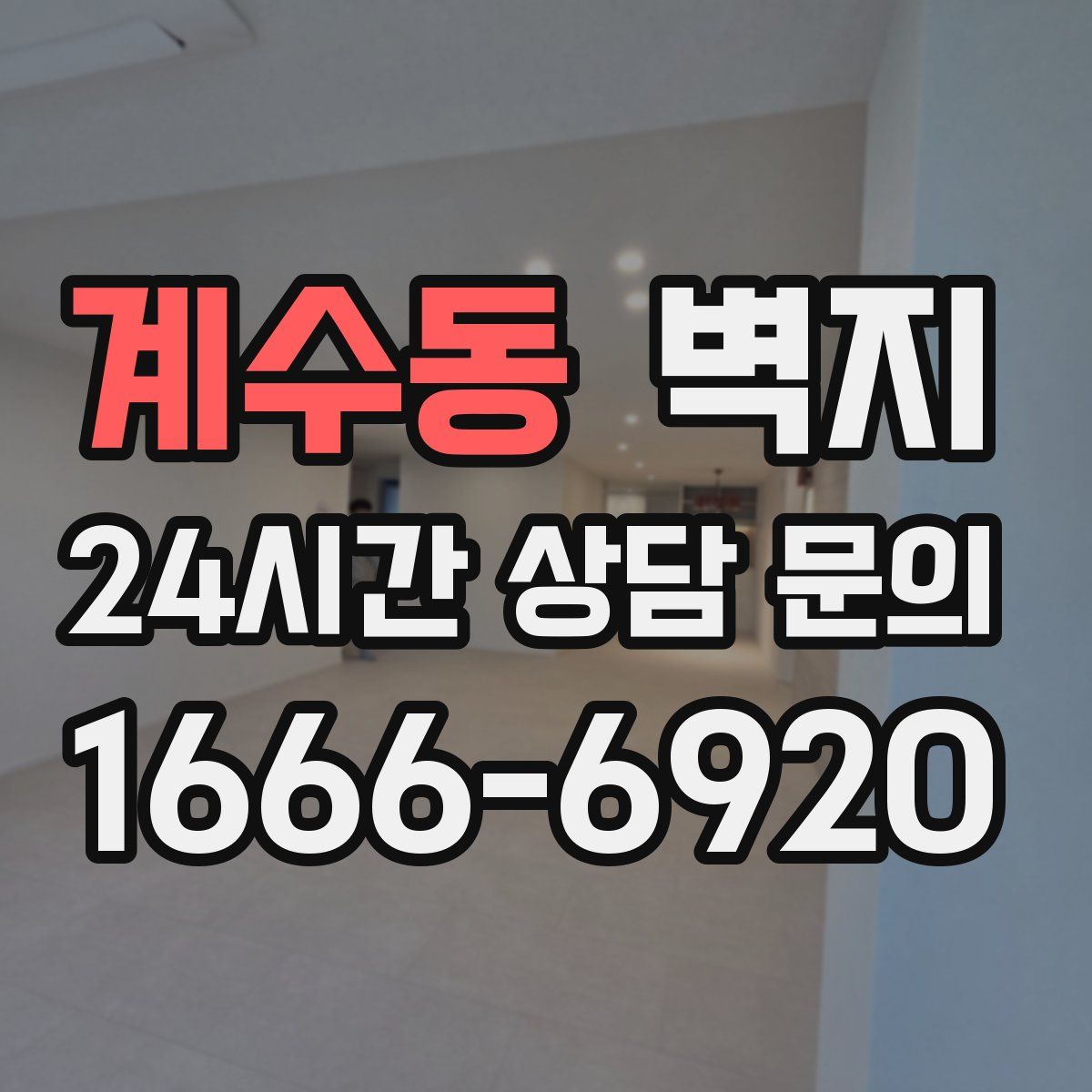계수동 벽지