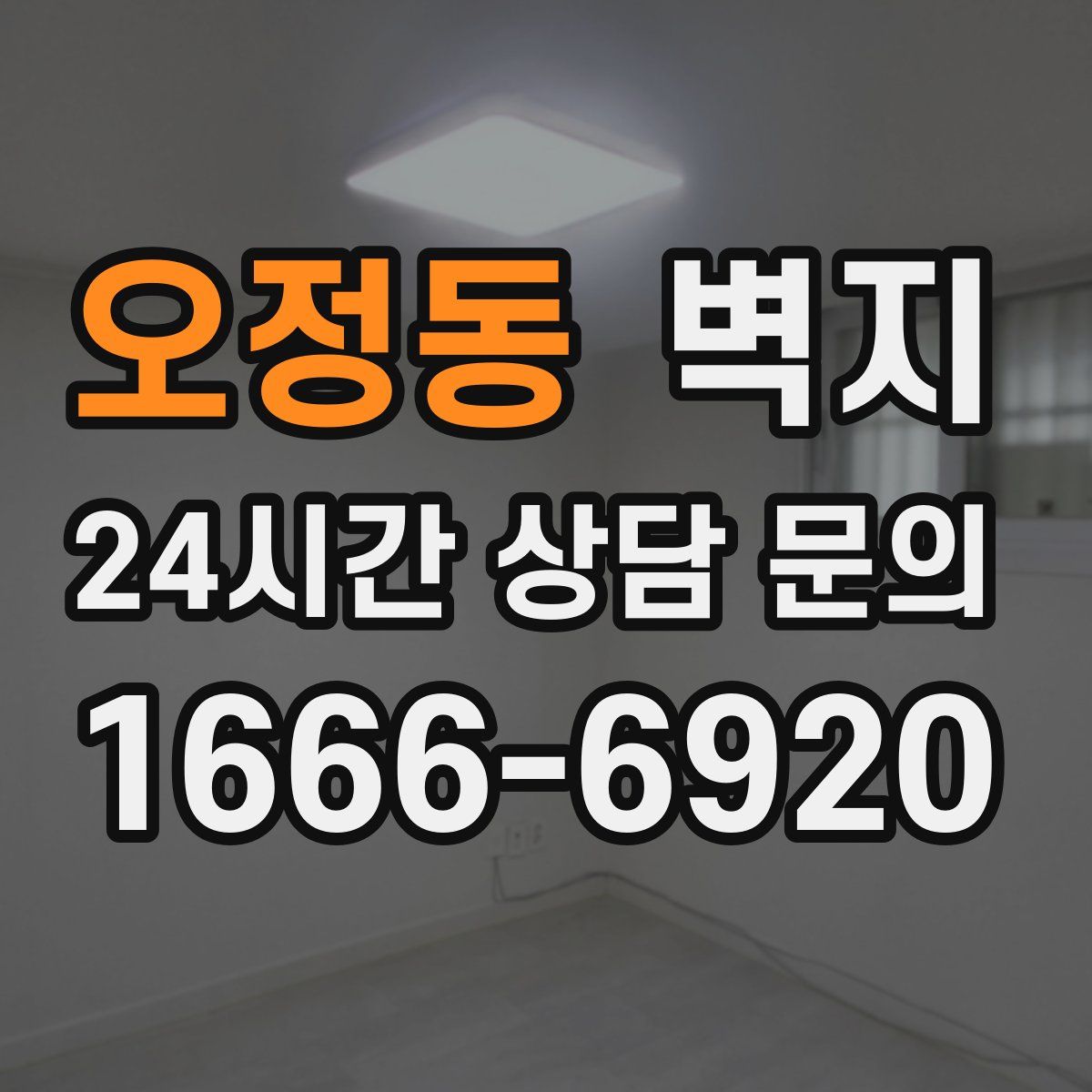 오정동 벽지