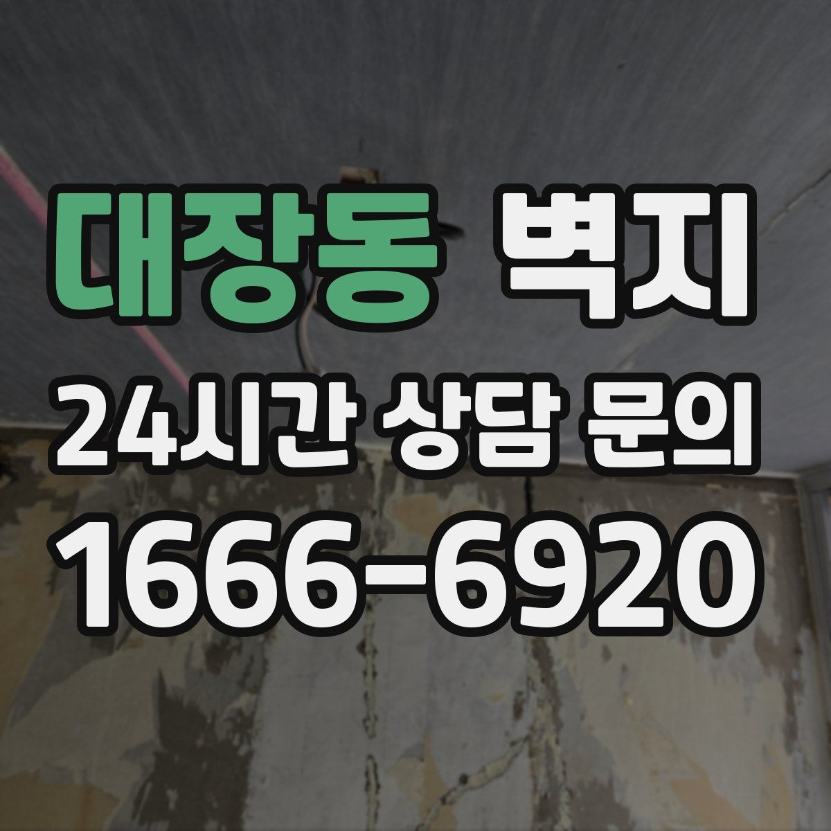 대장동 벽지