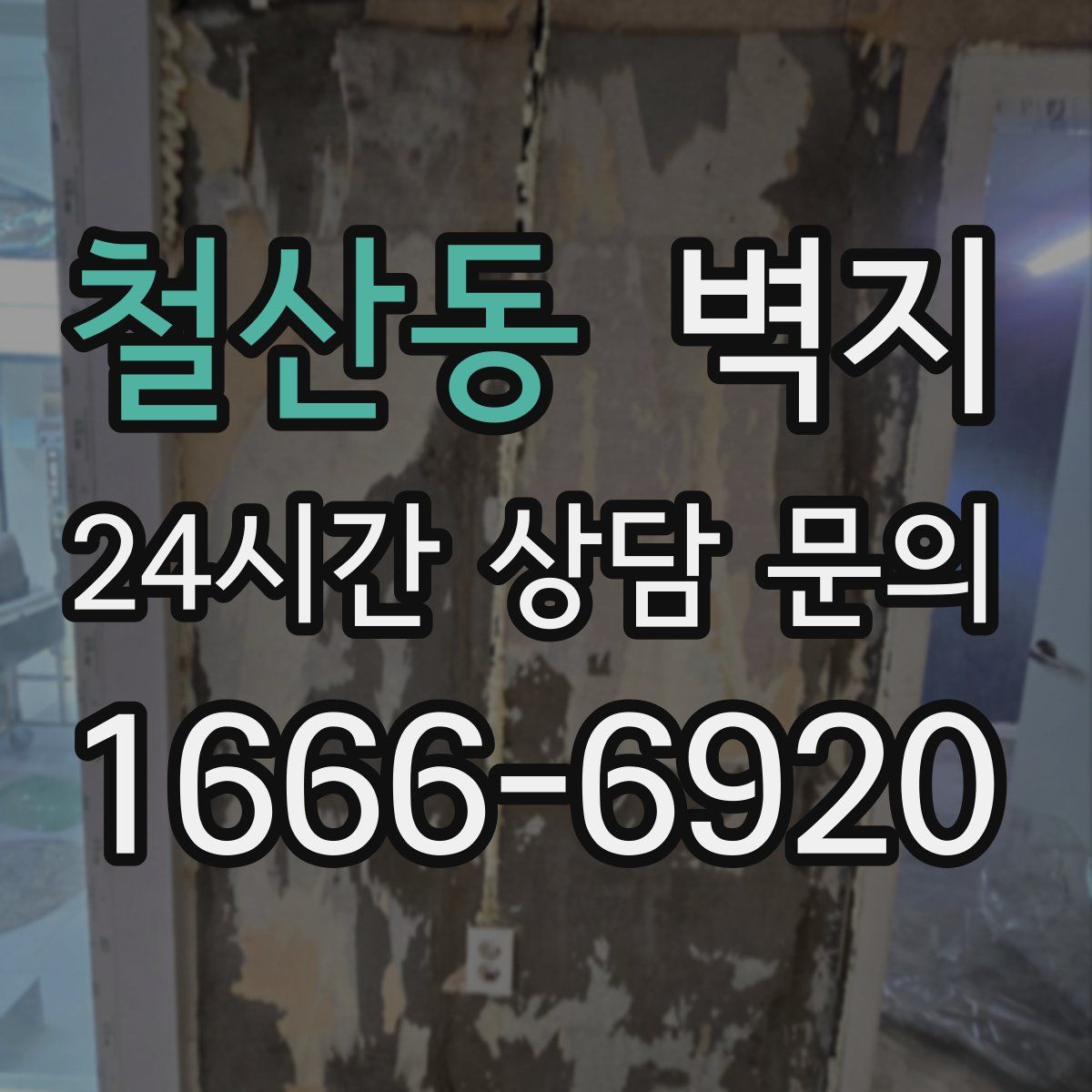 철산동 벽지