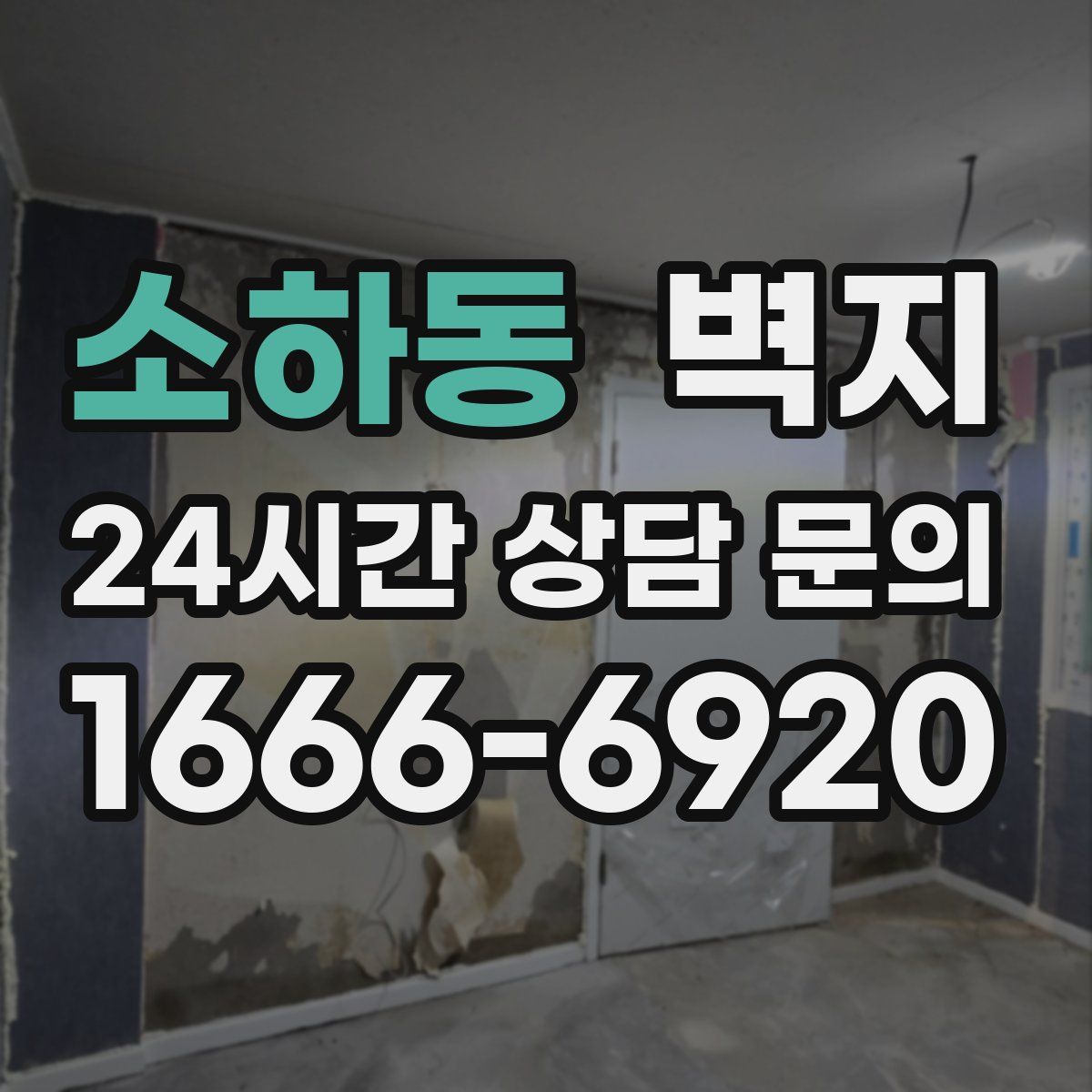 소하동 벽지