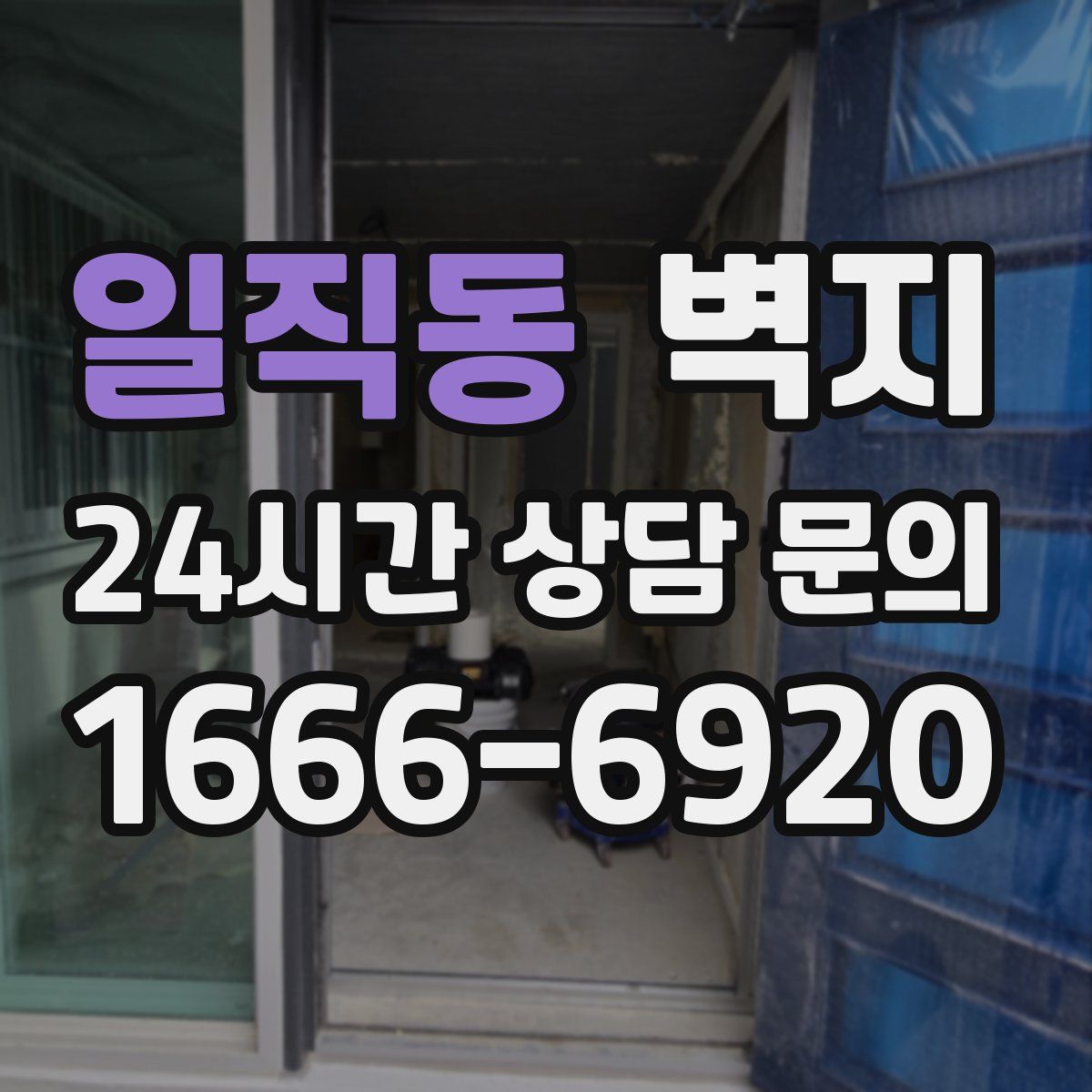 일직동 벽지