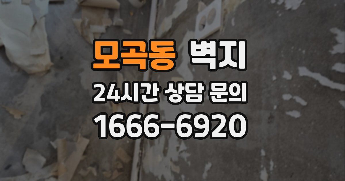 모곡동 벽지