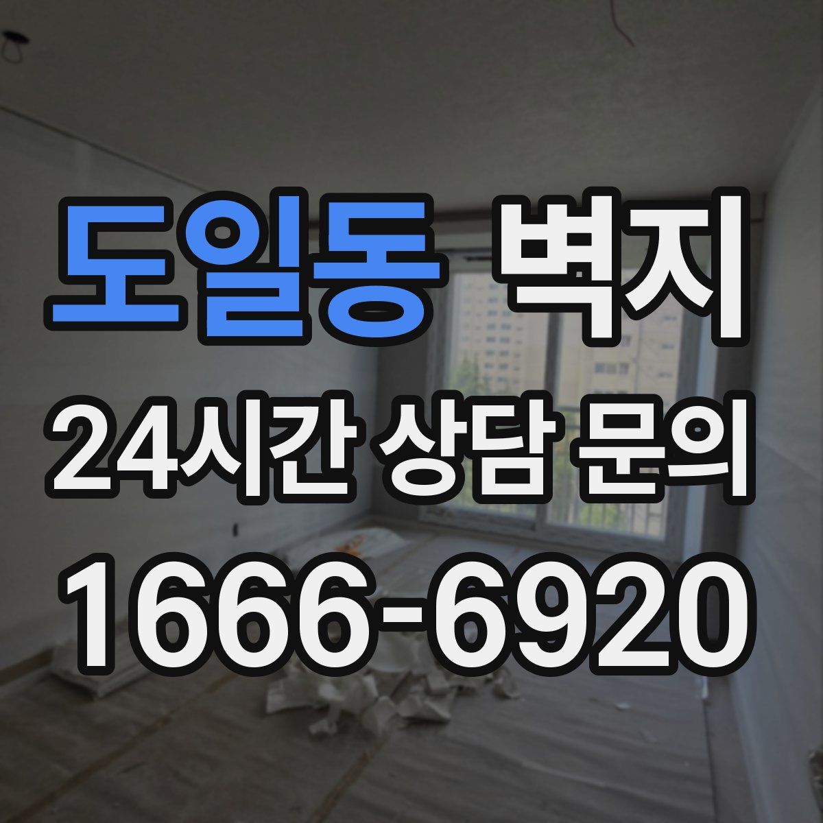 도일동 벽지