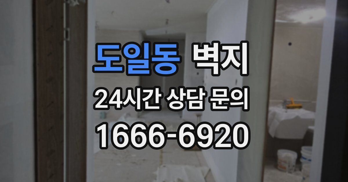 도일동 벽지