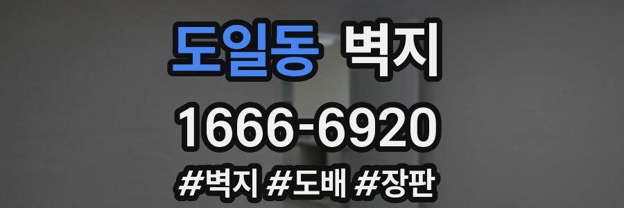 도일동 벽지