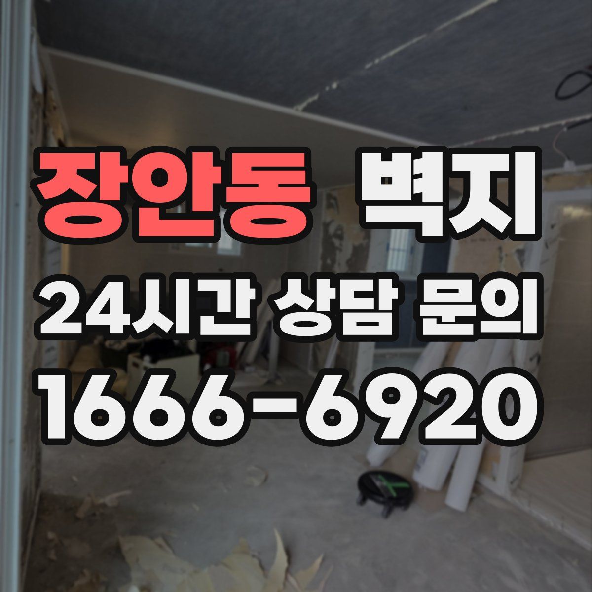 장안동 벽지
