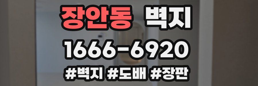 장안동 벽지