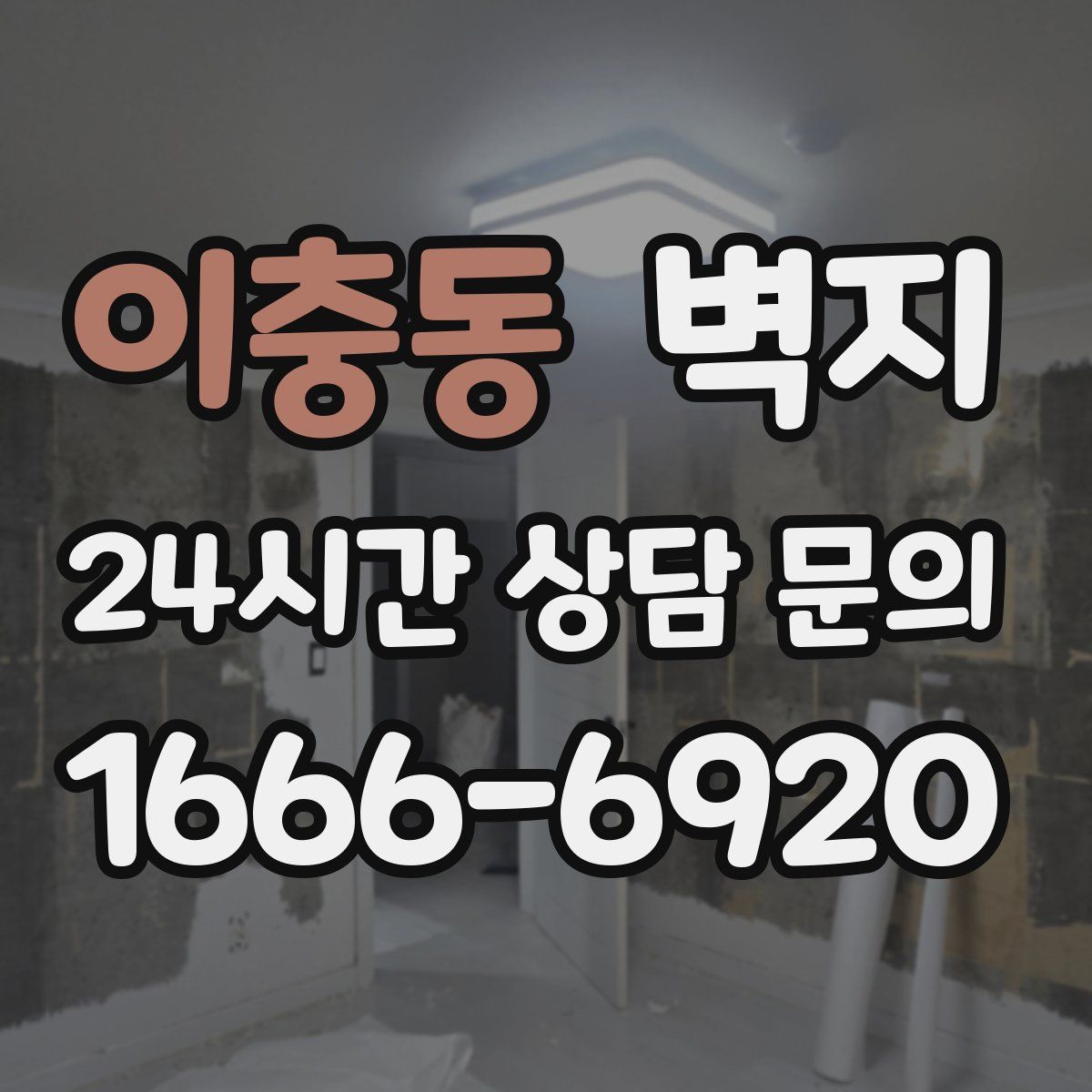 이충동 벽지