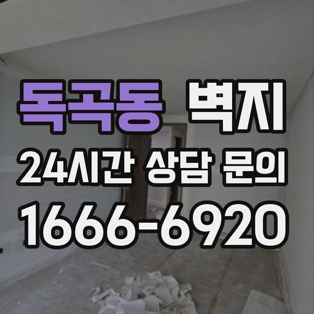 독곡동 벽지