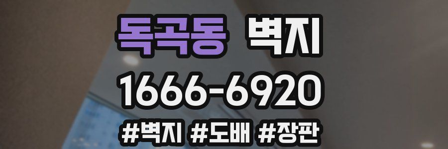 독곡동 벽지