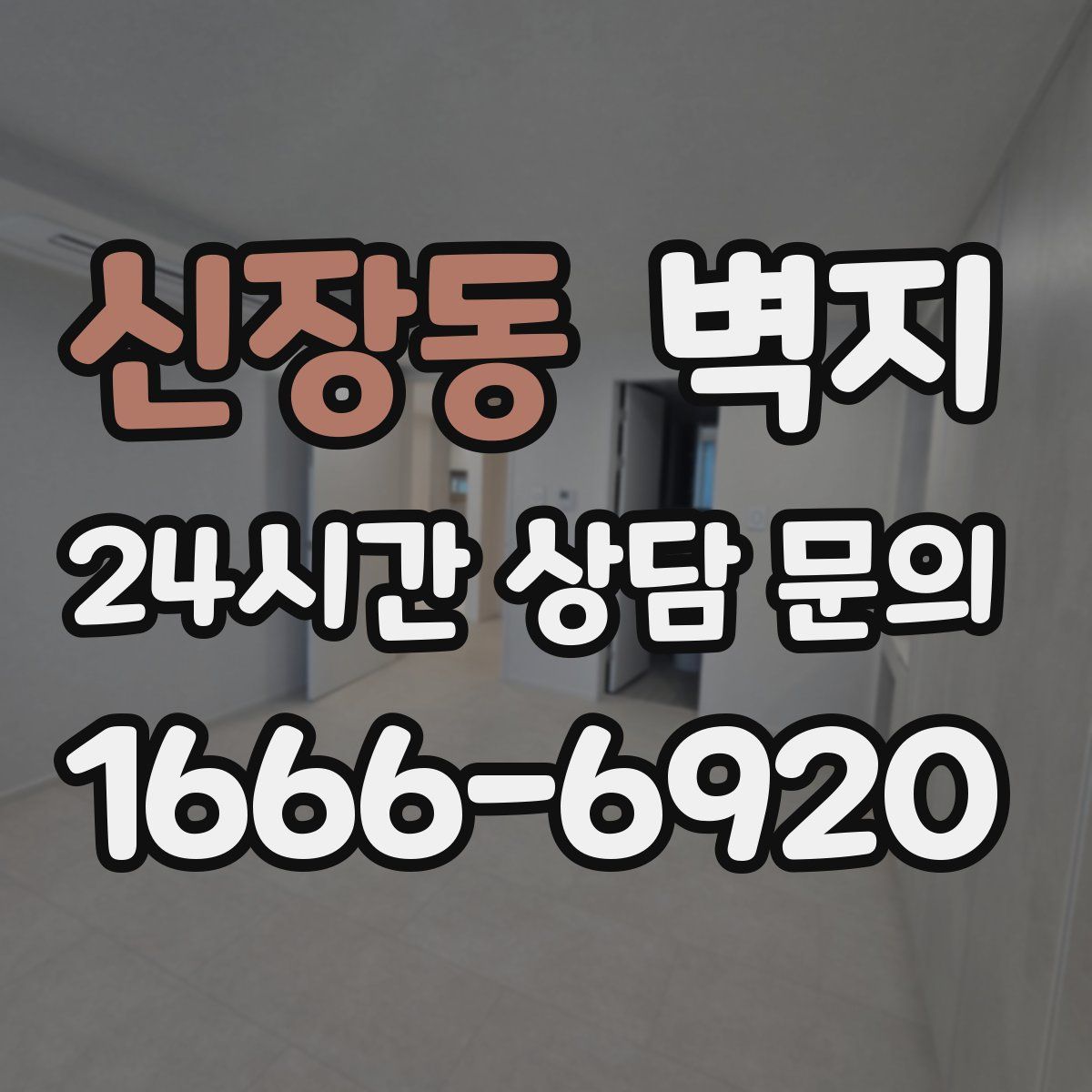 신장동 벽지