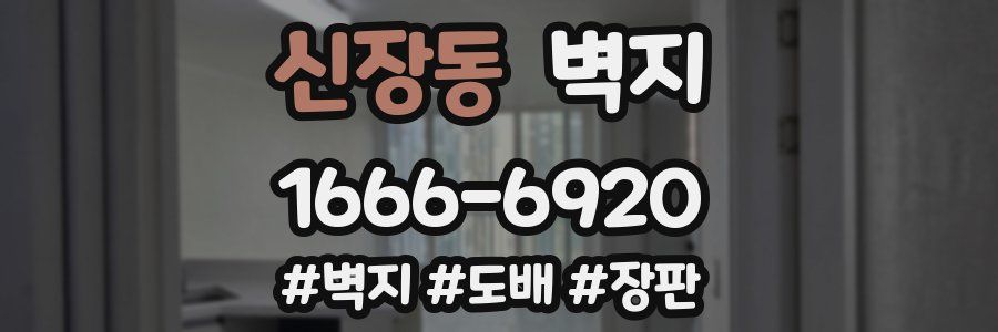 신장동 벽지