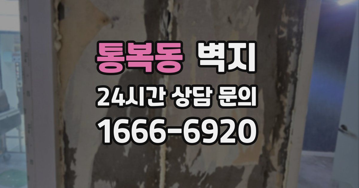 통복동 벽지
