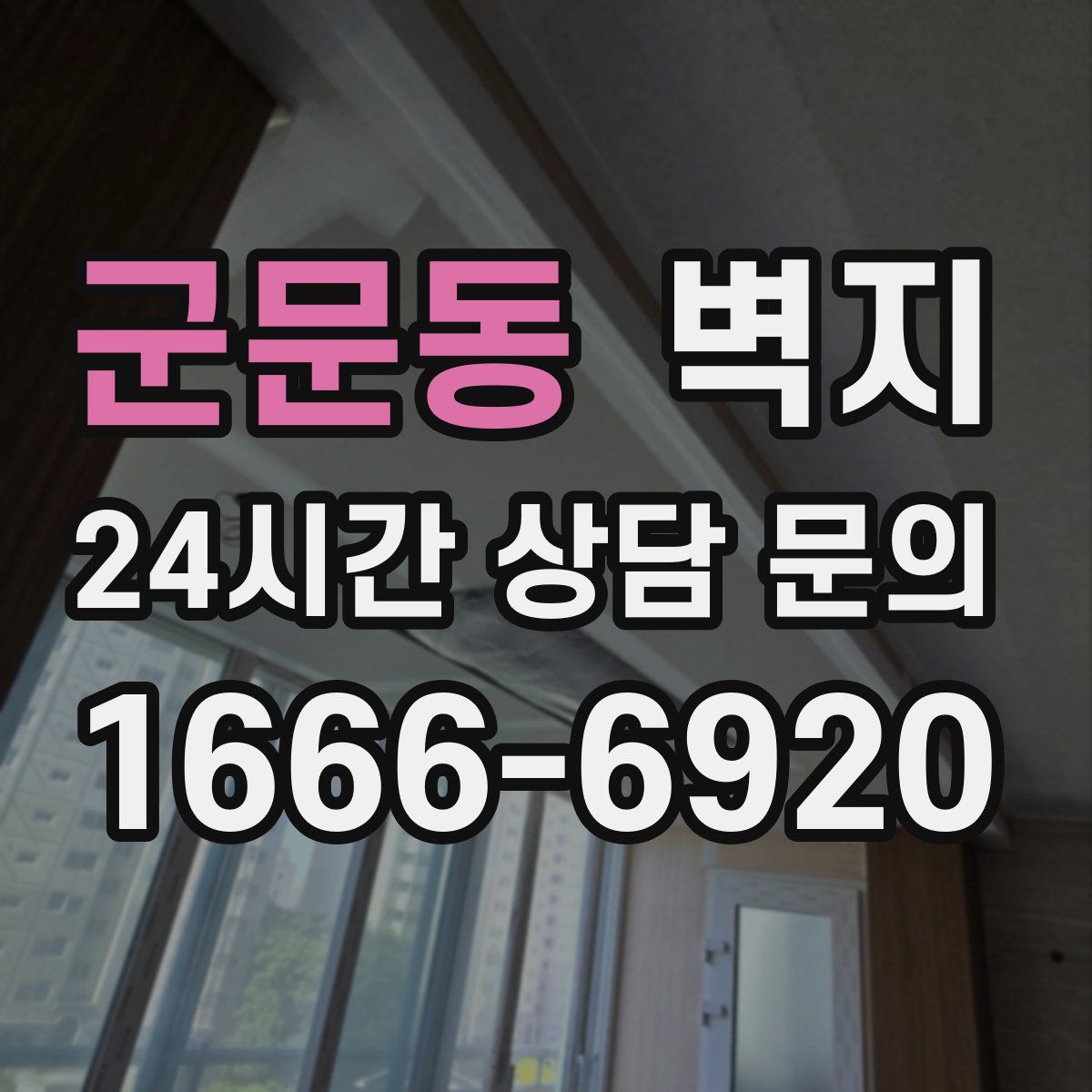 군문동 벽지