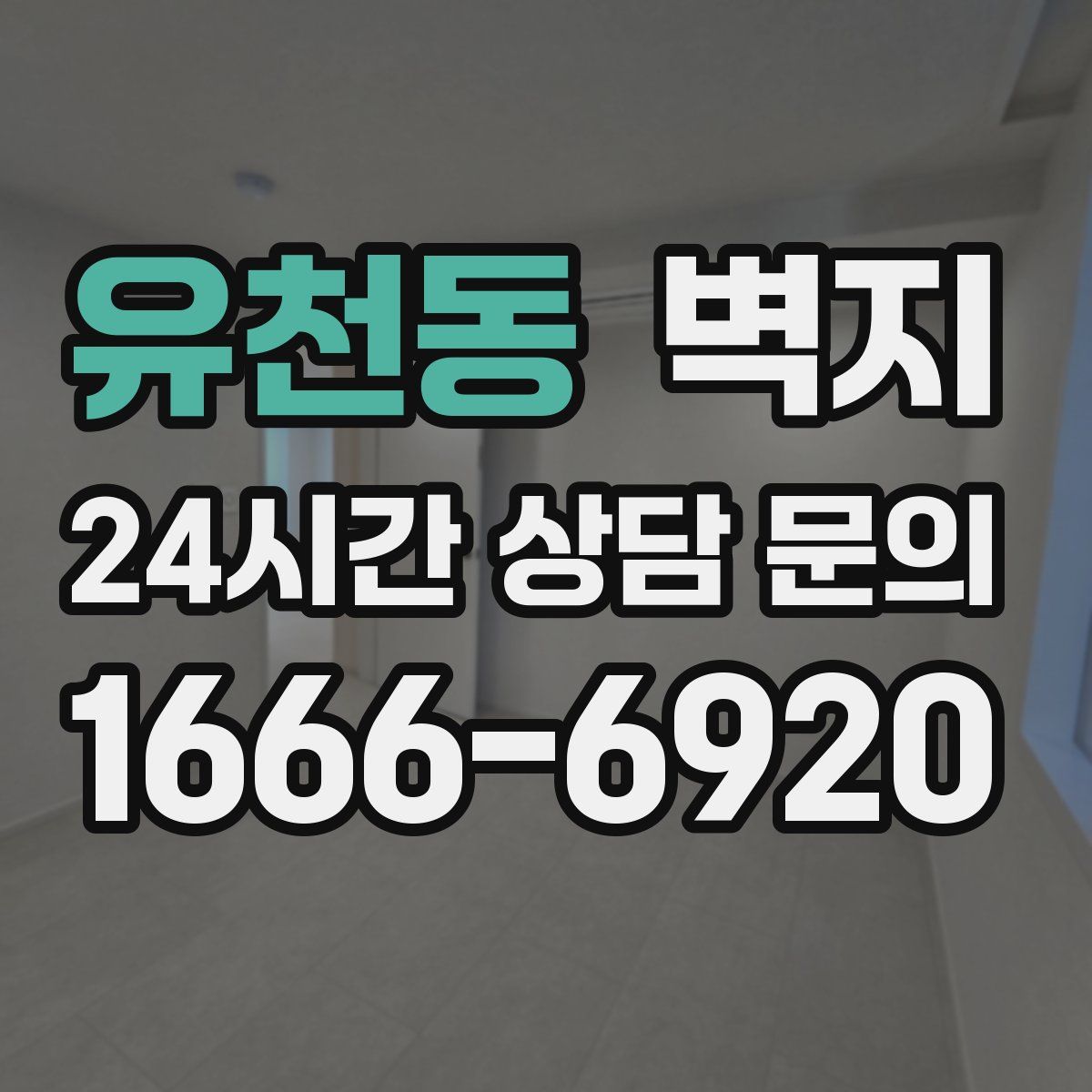 유천동 벽지