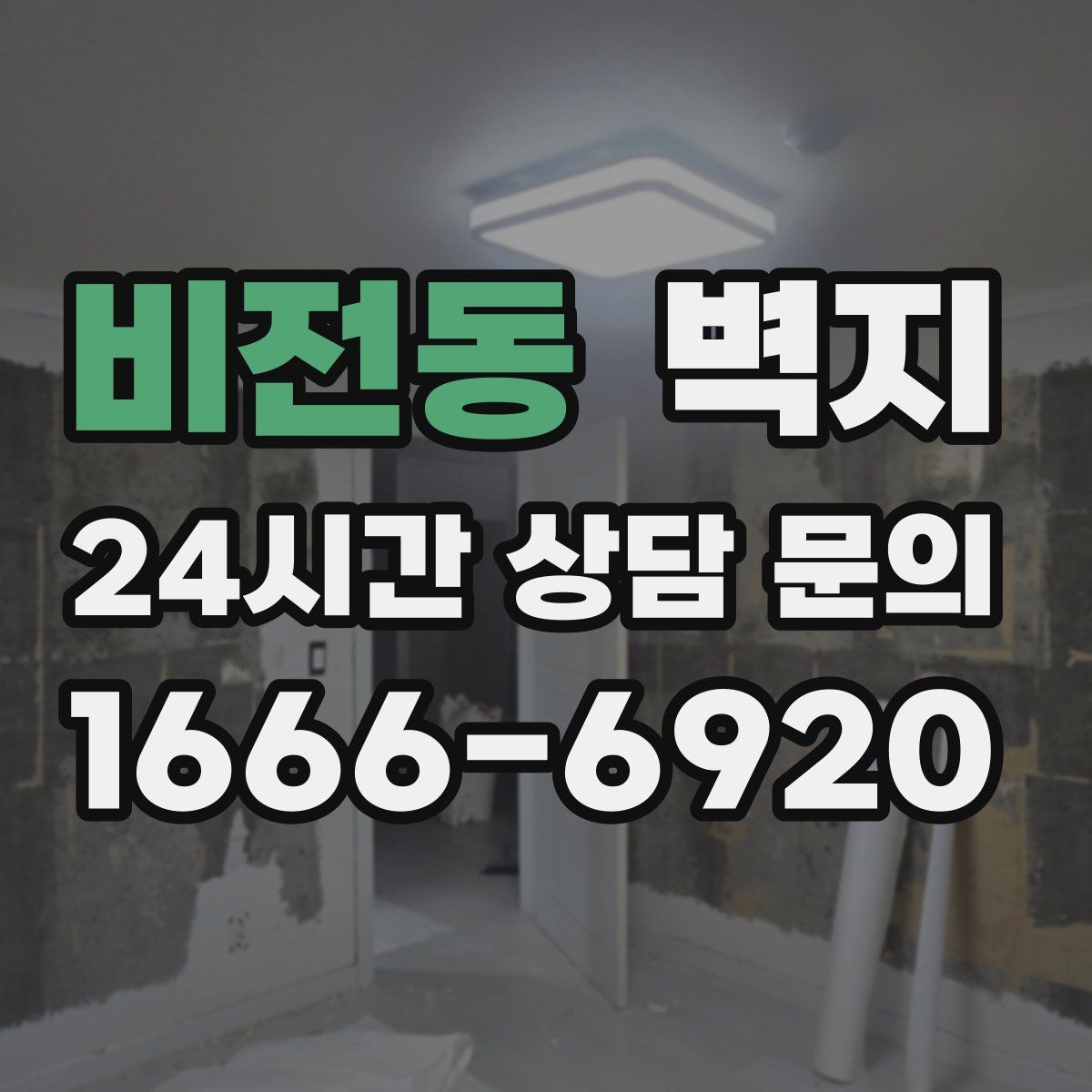 비전동 벽지 선택에서 색감과 질감을 함께 보는 법