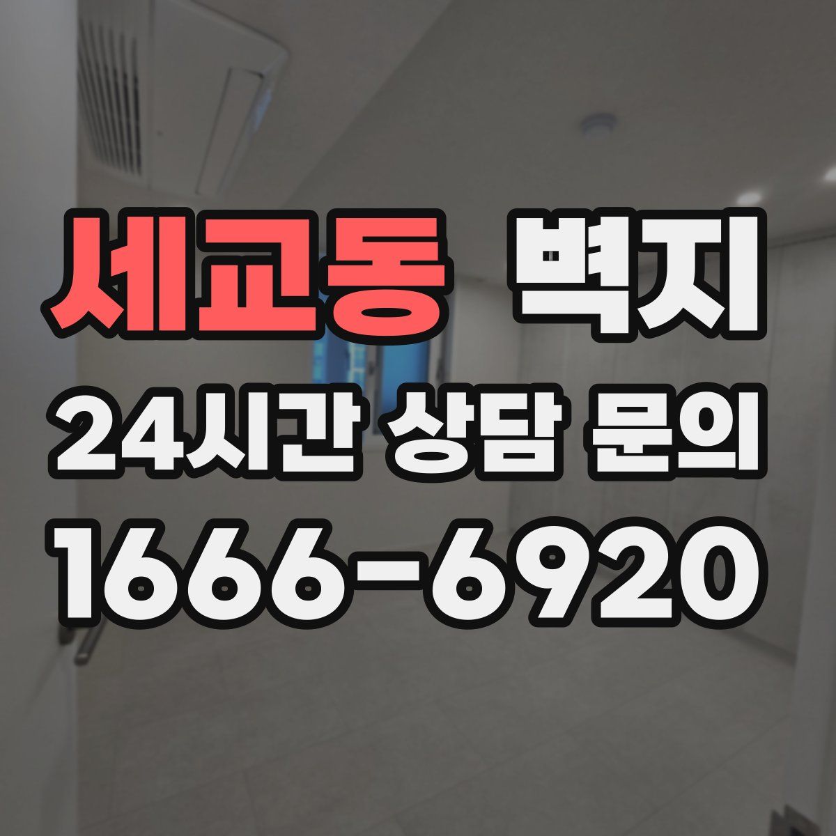 세교동 벽지