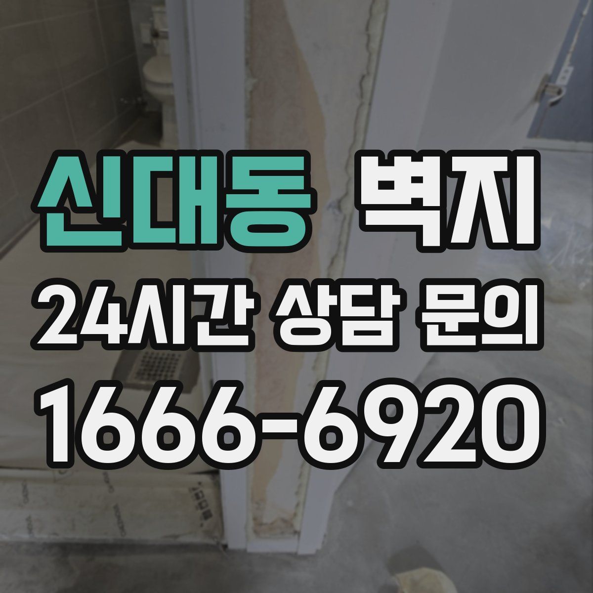 신대동 벽지