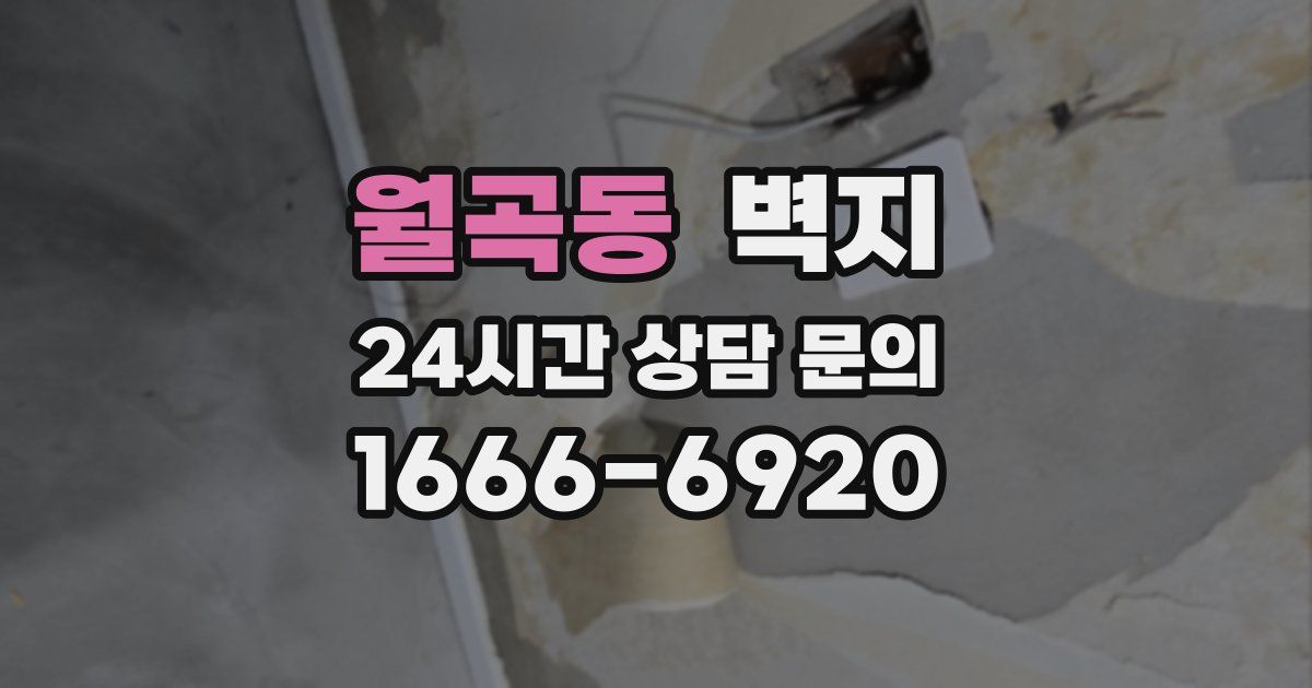 월곡동 벽지