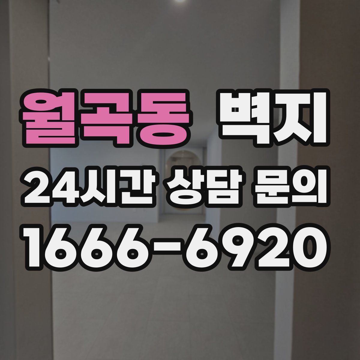 월곡동 벽지