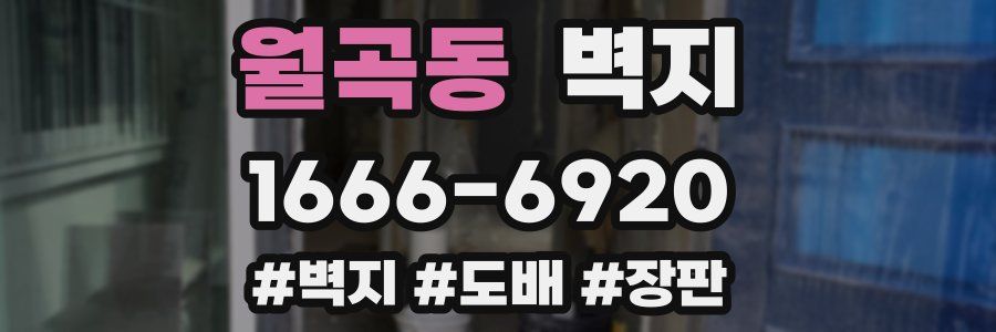 월곡동 벽지