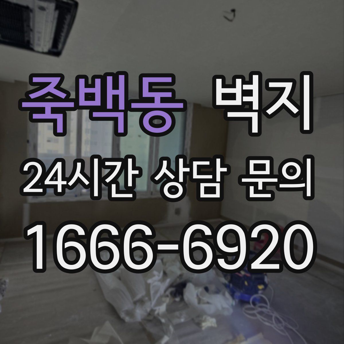죽백동 벽지